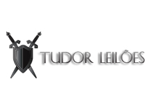 Tudor Leilões - Colecionismo Artes e Antiguidades