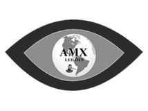 AMX Leilões