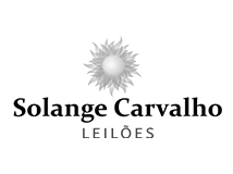 Solange Carvalho Leilões