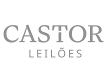 Castor Leilões