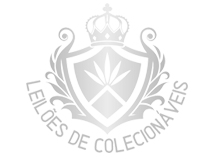 Leilões de Colecionáveis