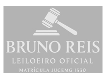Bruno Reis Leilões